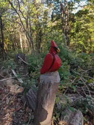 Fort Thomas Dog Park