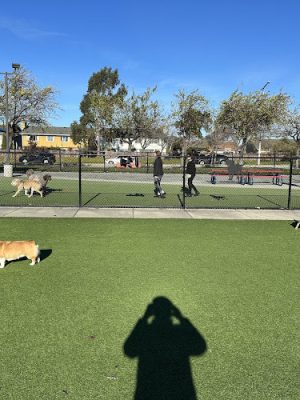Foster City Dog Park - Foster City, CA
