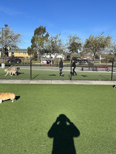 Foster City Dog Park - Foster City, CA
