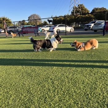 Foster City Dog Park - Foster City, CA