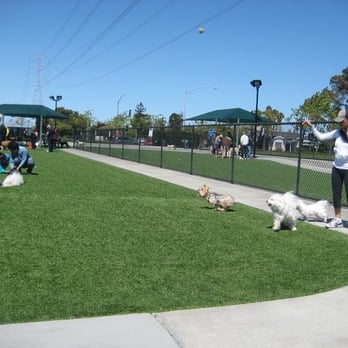 Foster City Dog Park - Foster City, CA