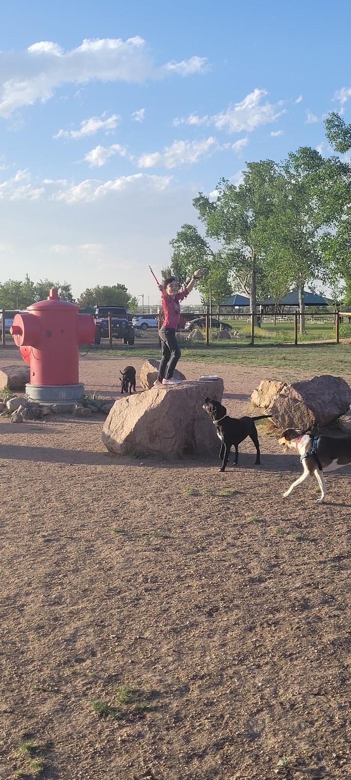 Fountain creek dog park - Fountain, CO