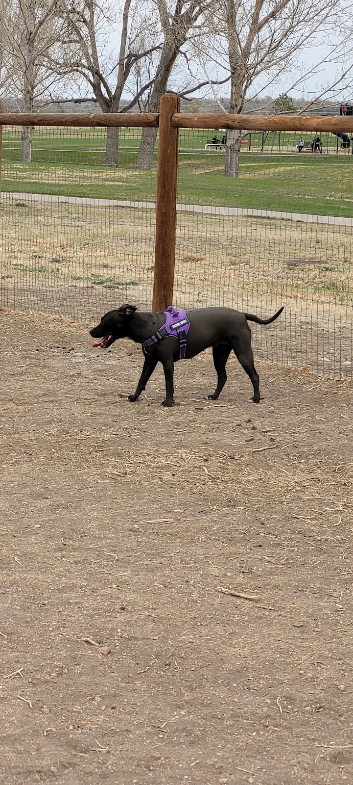 Fountain creek dog park - Fountain, CO