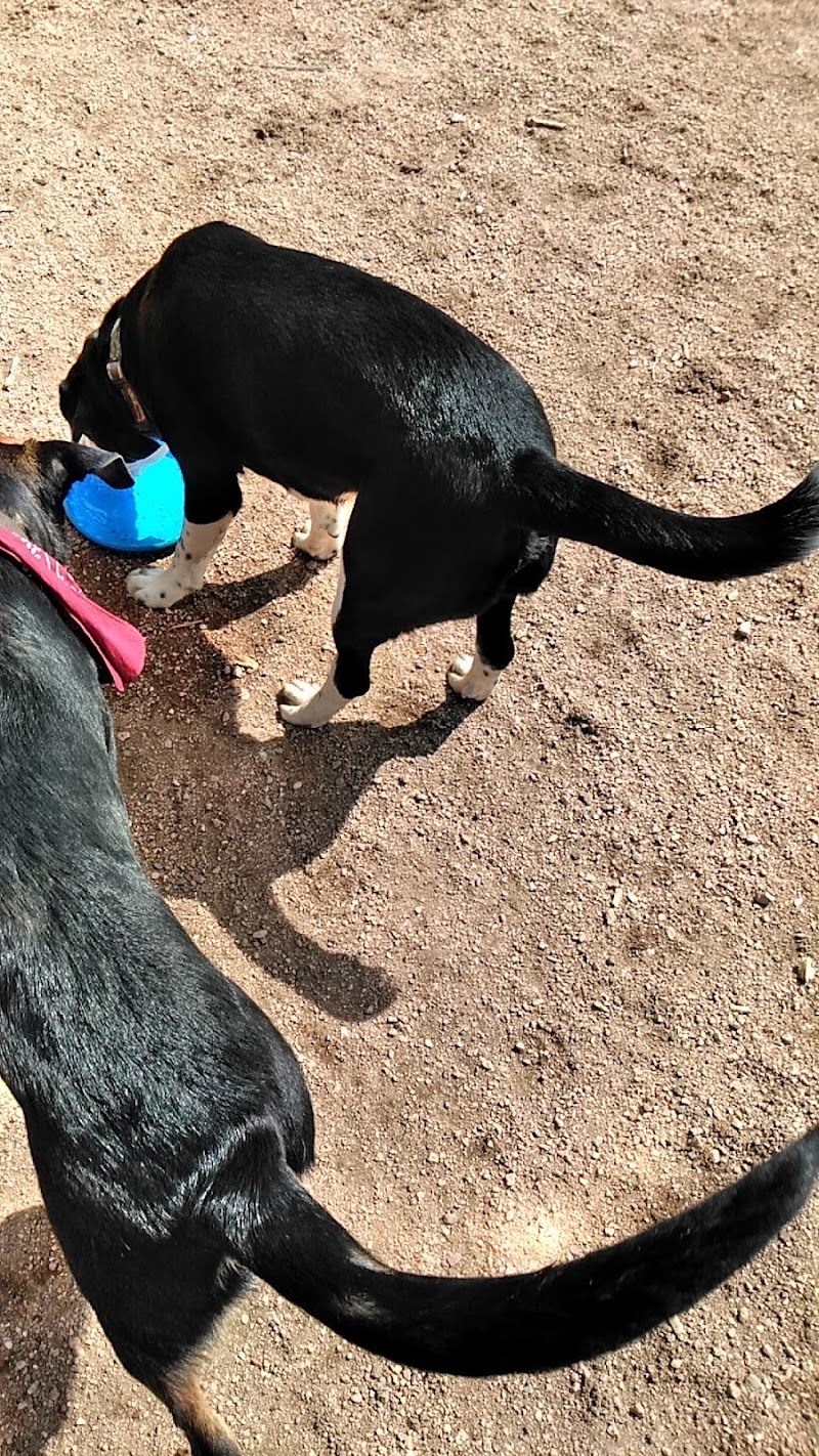Metcalfe Hondo Memorial Doggie Park - Fountain, CO