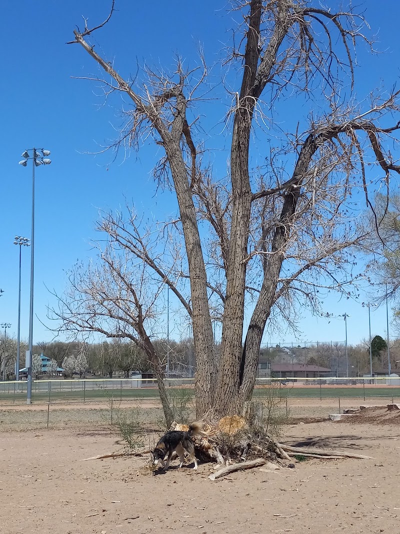Metcalfe Hondo Memorial Doggie Park - Fountain, CO