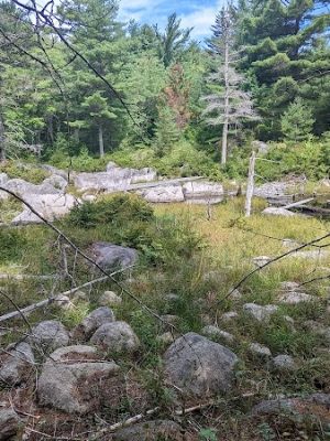 Donnell Pond Public Reserved Land