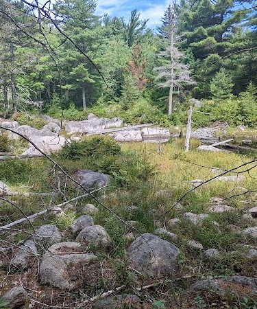 Donnell Pond Public Reserved Land