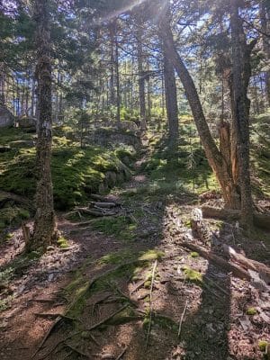 Donnell Pond Public Reserved Land