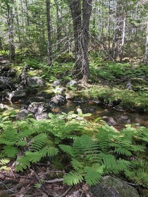 Donnell Pond Public Reserved Land