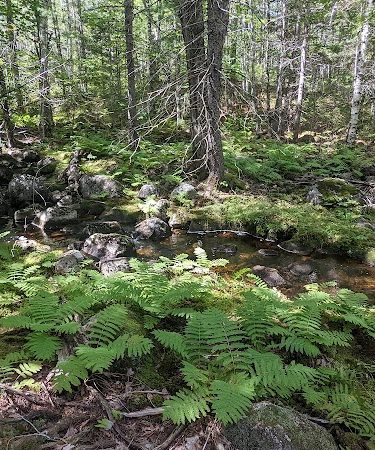 Donnell Pond Public Reserved Land