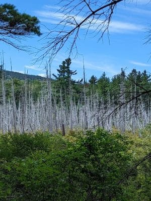 Donnell Pond Public Reserved Land