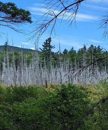 Donnell Pond Public Reserved Land