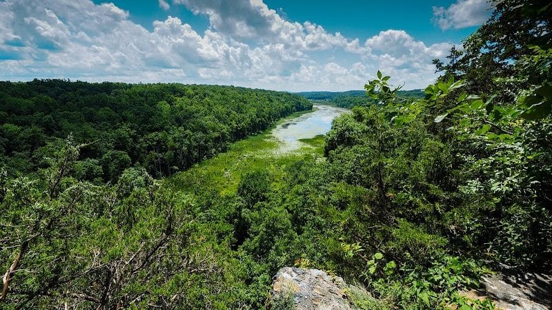 Johnsonburg Swamp Preserve - The Nature Conservancy - Fredon Township, NJ