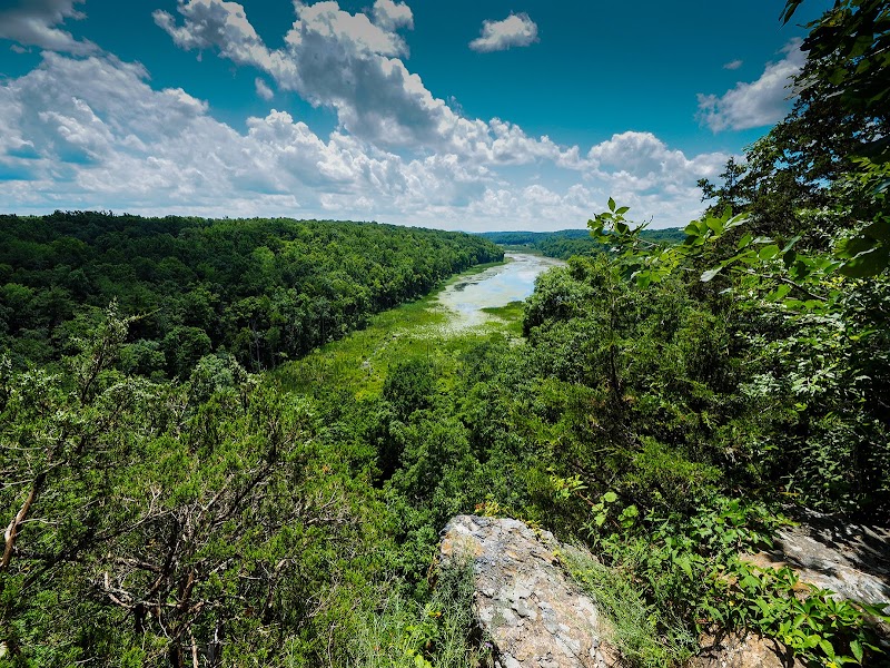 Johnsonburg Swamp Preserve - The Nature Conservancy - Fredon Township, NJ