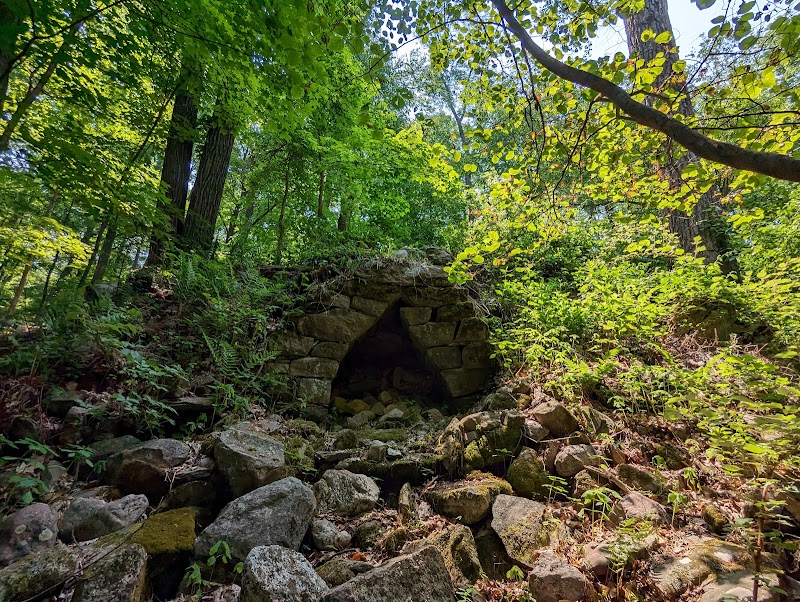 Johnsonburg Swamp Preserve - The Nature Conservancy - Fredon Township, NJ
