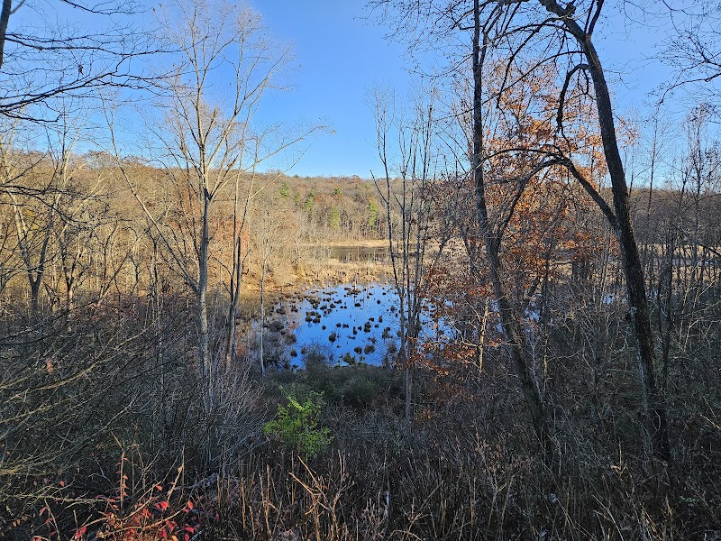 Johnsonburg Swamp Preserve - The Nature Conservancy - Fredon Township, NJ
