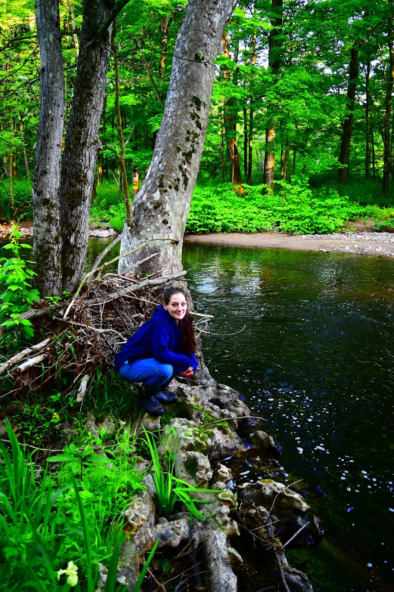 Johnsonburg Swamp Preserve - The Nature Conservancy - Fredon Township, NJ