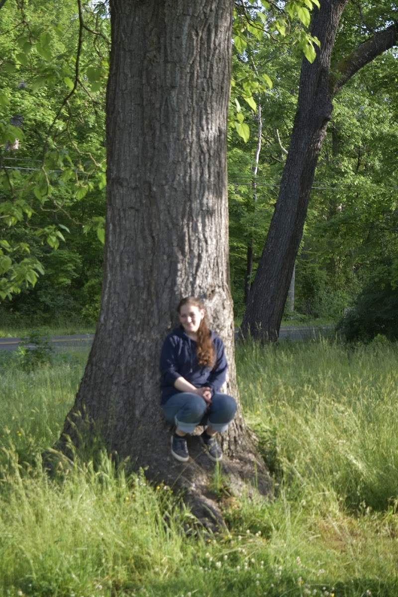 Johnsonburg Swamp Preserve - The Nature Conservancy - Fredon Township, NJ
