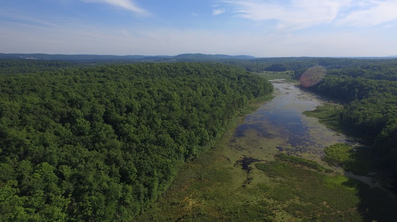 Johnsonburg Swamp Preserve - The Nature Conservancy - Fredon Township, NJ