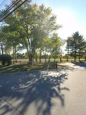 Freehold, NJ Dog Show Site