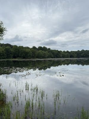 Lake Topanemus Park (Robertsville Road Entrance)