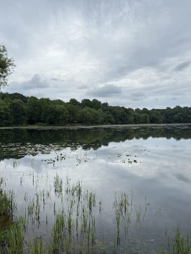 Lake Topanemus Park (Robertsville Road Entrance)