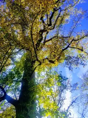 Veterans Park