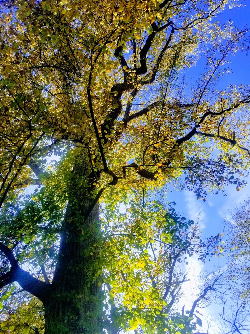 Veterans Park - Freehold, NJ