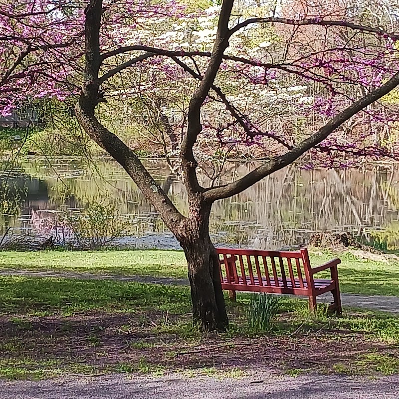 Pond Road and Lake Topanemus Drive - Freehold, NJ