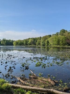 Pond Road and Lake Topanemus Drive