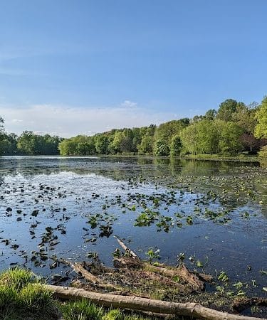 Pond Road and Lake Topanemus Drive