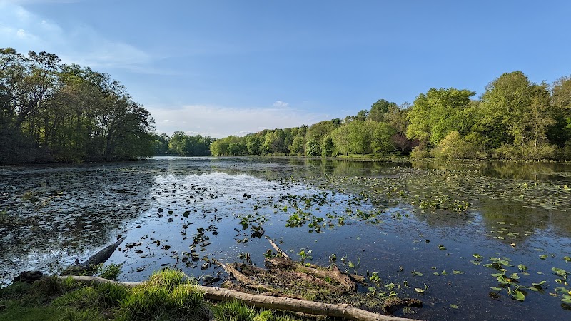 Pond Road and Lake Topanemus Drive - Freehold, NJ