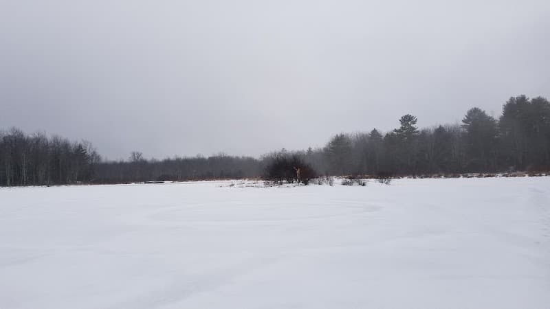 Florida Lake Park - Freeport, ME