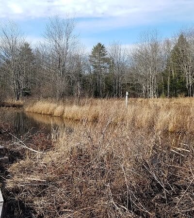 Florida Lake Park - Freeport, ME