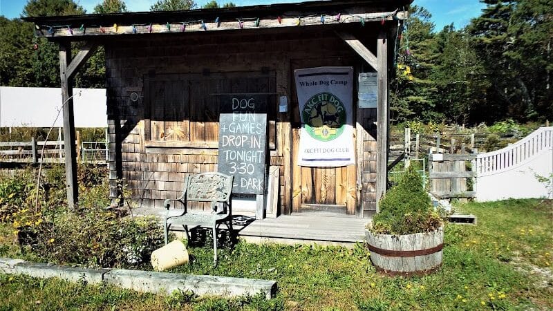 Whole Dog Camp at Bliss Woods Farm - Freeport, ME