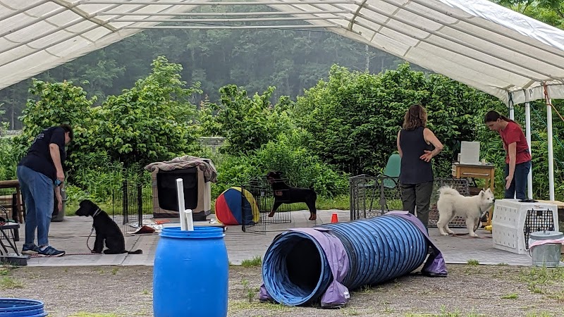 Whole Dog Camp at Bliss Woods Farm - Freeport, ME