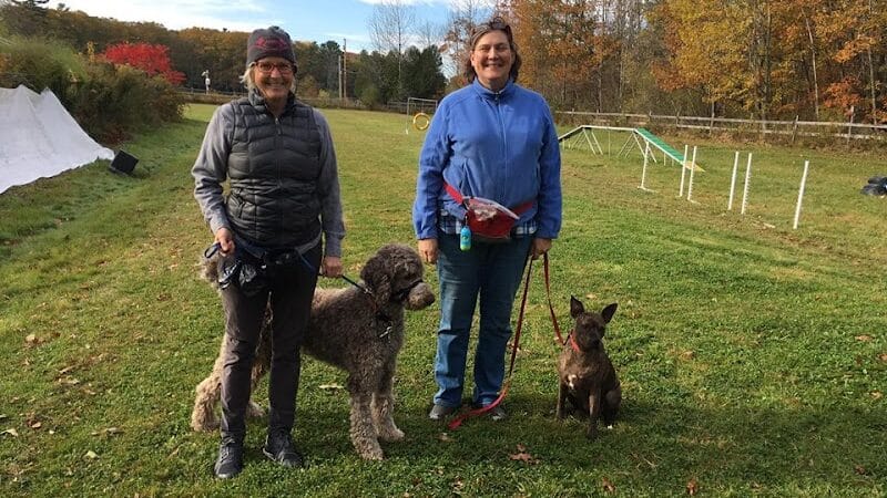 Whole Dog Camp at Bliss Woods Farm - Freeport, ME
