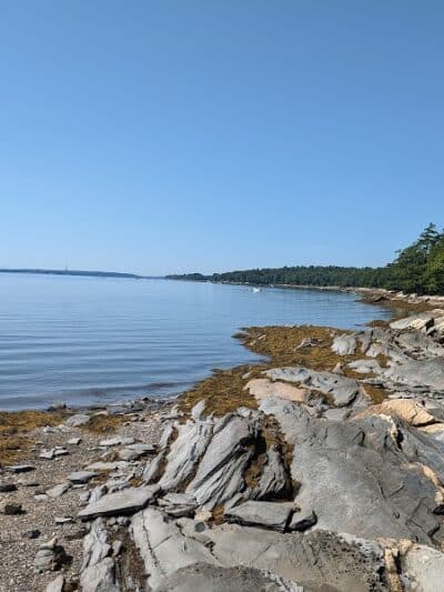 Wolfe's Neck Woods State Park - Freeport, ME