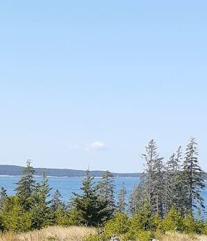 Frenchboro Preserve