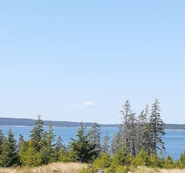 Frenchboro Preserve