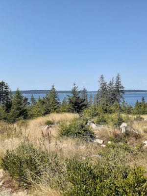 Frenchboro Preserve