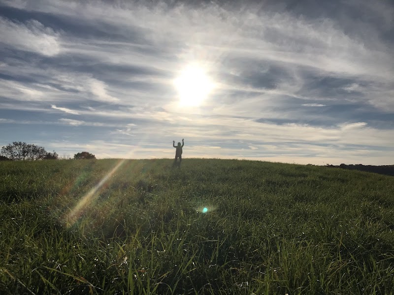 Horseshoe Bend Park