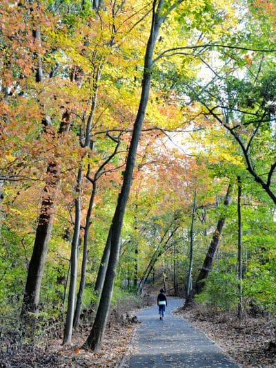 Cunningham Park - Fresh Meadows, NY