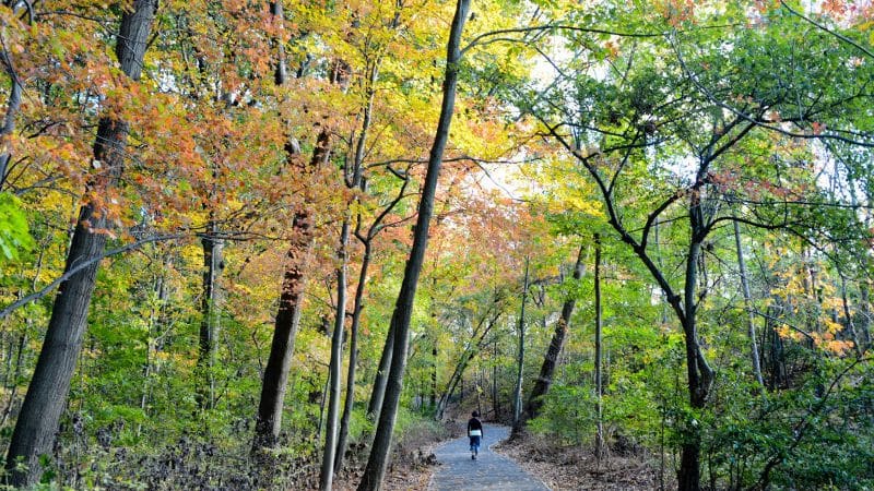Cunningham Park - Fresh Meadows, NY