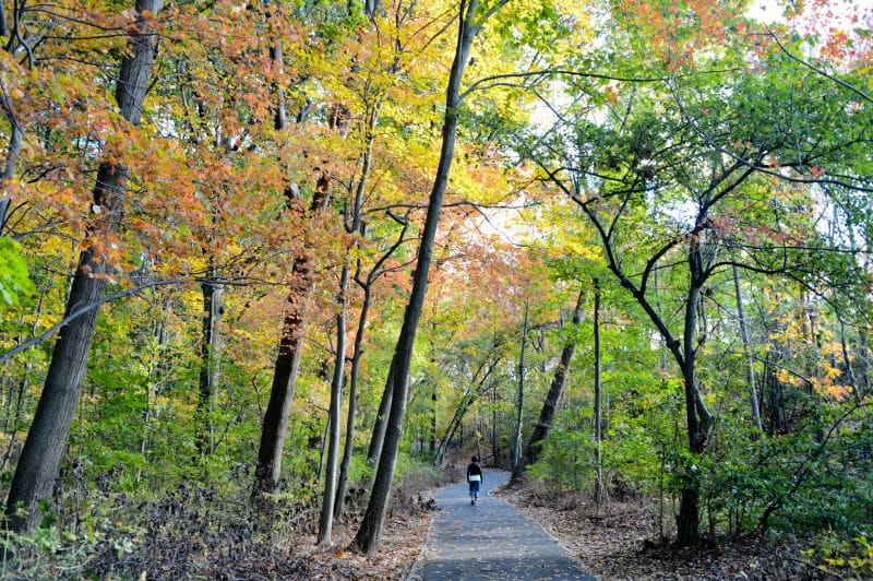 Cunningham Park - Fresh Meadows, NY