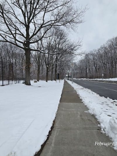 Cunningham Park - Fresh Meadows, NY