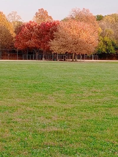 Cunningham Park - Fresh Meadows, NY
