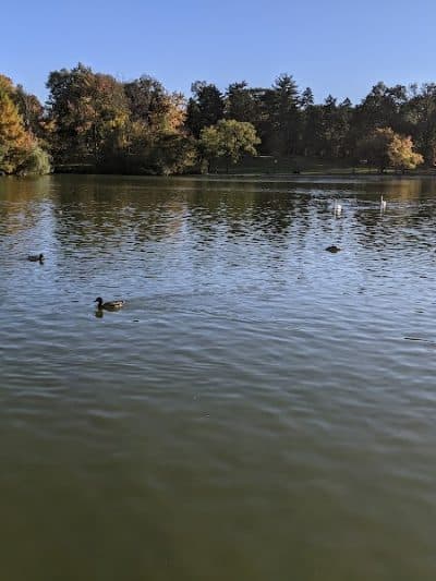Fresh Meadows Park - Fresh Meadows, NY
