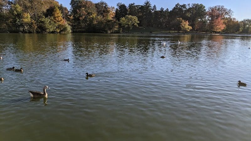 Fresh Meadows Park - Fresh Meadows, NY