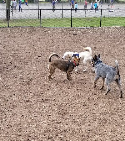 Cunningham Park Dog Run - Fresh Meadows, NY